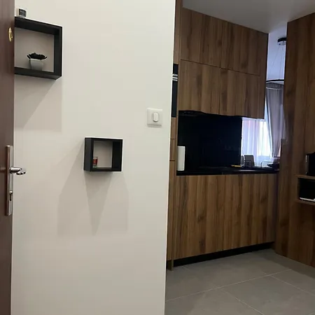 Misic Apartment Colmar